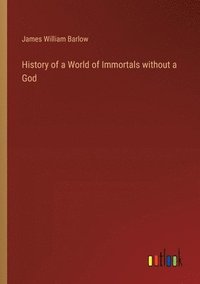 bokomslag History of a World of Immortals without a God