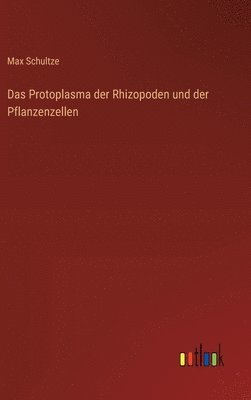 bokomslag Das Protoplasma der Rhizopoden und der Pflanzenzellen