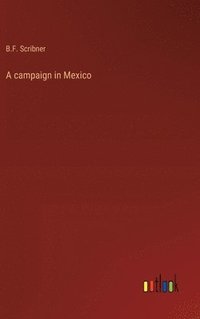 bokomslag A campaign in Mexico