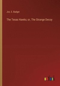 bokomslag The Texas Hawks; or, The Strange Decoy