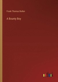 bokomslag Bounty Boy