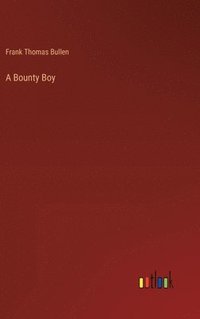 bokomslag Bounty Boy