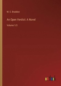 bokomslag Open Verdict