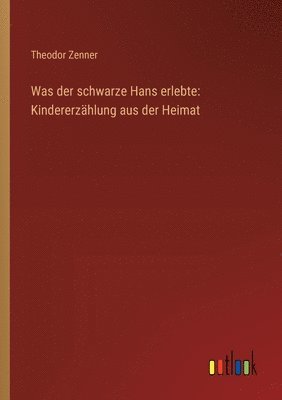 bokomslag Was der schwarze Hans erlebte