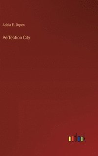 bokomslag Perfection City