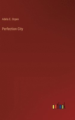 bokomslag Perfection City