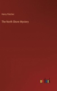 bokomslag North Shore Mystery