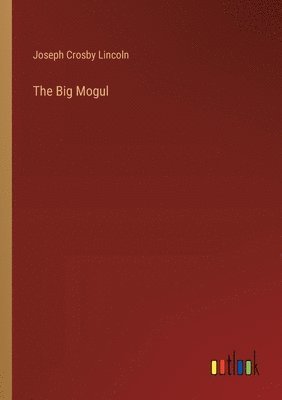 bokomslag Big Mogul