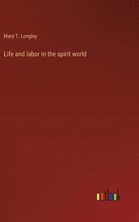 bokomslag Life and labor in the spirit world