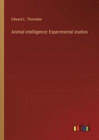 bokomslag Animal intelligence