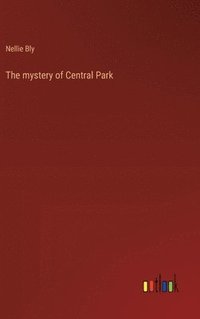 bokomslag The mystery of Central Park
