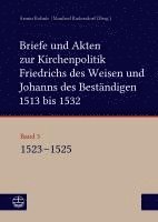 Briefe und Akten zur Kirchenpolitik Friedrichs des Weisen und Johanns des Beständigen 1513 bis 1532. Reformation im Kontext frühneuzeitlicher Staatswerdung