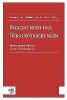 bokomslag Begegnungen Und Herausforderungen: Christliches Zeugnis Im Kontext Des Islam