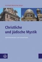 bokomslag Christliche und jüdische Mystik