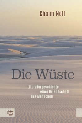bokomslag Die Wüste