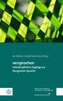 bokomslag Versprochen: Interdisziplinare Zugange Zur Liturgischen Sprache