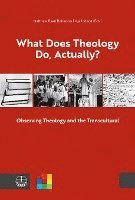 bokomslag What Does Theology Do, Actually?: Vol. 1: Observing Theology and the Transcultural