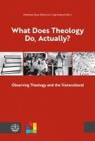 bokomslag What Does Theology Do, Actually?: Vol. 1: Observing Theology and the Transcultural