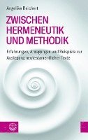 bokomslag Zwischen Hermeneutik Und Methodik: Erfahrungen, Anregungen Und Beispiele Zur Auslegung Neutestamentlicher Texte