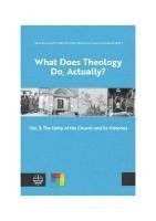 bokomslag What Does Theology Do, Actually?: Vol. 3: The Unity of the Church and Its Histories