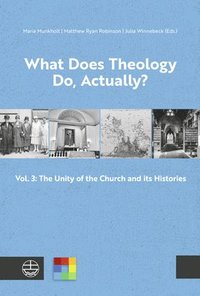 bokomslag What Does Theology Do, Actually?: Vol. 3: The Unity of the Church and Its Histories