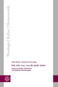 bokomslag Ich Sehe Was, Was Du Nicht Siehst: Fragen Moralischer, Asthetischer Und Religioser Phanomenologie