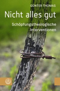 bokomslag Nicht Alles Gut: Schopfungstheologische Interventionen