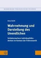 bokomslag Wahrnehmung Und Darstellung Des Unendlichen: Schleiermachers Individualitatsdenken Im Kontext Der Fruhromantik