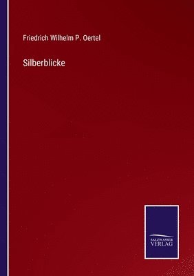 Silberblicke 1