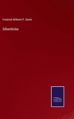 Silberblicke 1