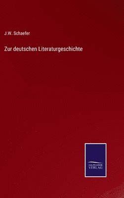 bokomslag Zur deutschen Literaturgeschichte