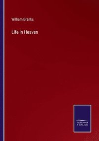 bokomslag Life in Heaven