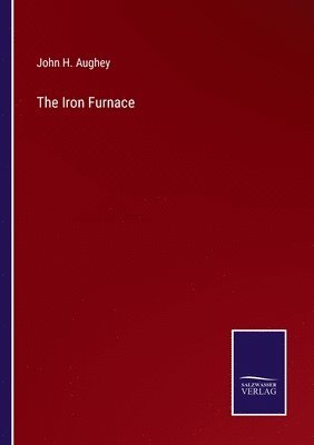 John H Aughey, John H. Aughey - Iron Furnace, Häftad
