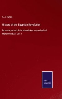 bokomslag History of the Egyptian Revolution