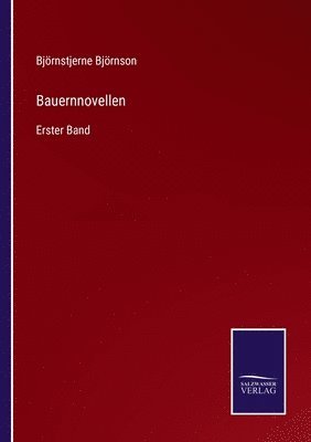 bokomslag Bauernnovellen