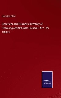 bokomslag Gazetteer and Business Directory of Chemung and Schuyler Counties, N.Y., for 1868-9