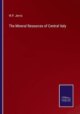 bokomslag Mineral Resources of Central Italy