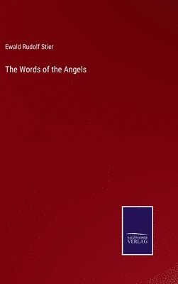 bokomslag Words of the Angels