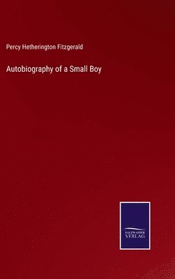 bokomslag Autobiography of a Small Boy