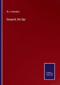 bokomslag Despard, the Spy