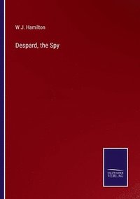 bokomslag Despard, the Spy