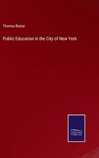 bokomslag Public Education in the City of New York