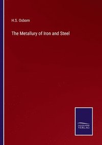 bokomslag The Metallury of Iron and Steel