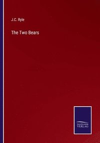 bokomslag Two Bears