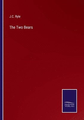 bokomslag Two Bears