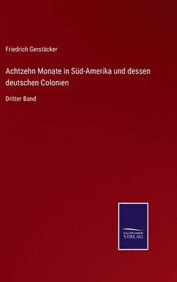 bokomslag Achtzehn Monate in Süd-Amerika und dessen deutschen Colonien