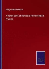 bokomslag A Handy Book of Domestic Homoeopathic Practice