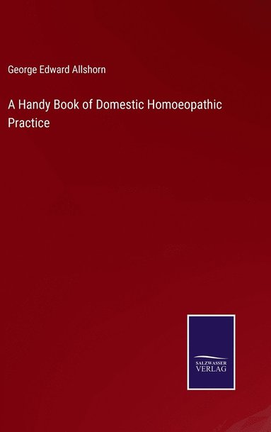 bokomslag A Handy Book of Domestic Homoeopathic Practice
