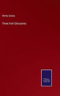 bokomslag Three Irish Glossaries