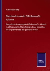 bokomslag Bibelstunden aus der Offenbarung St. Johannis